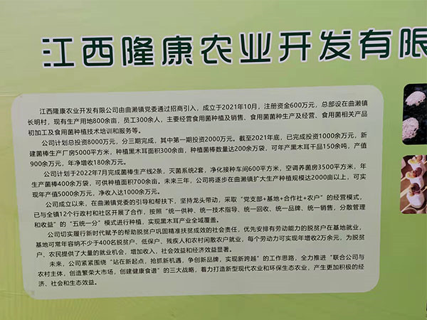 公司环境