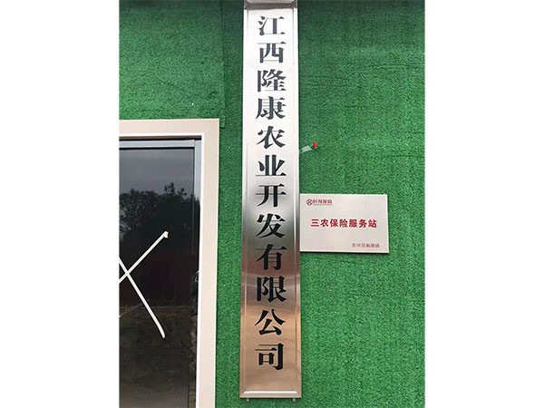 公司环境