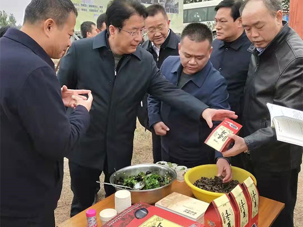 领导视察